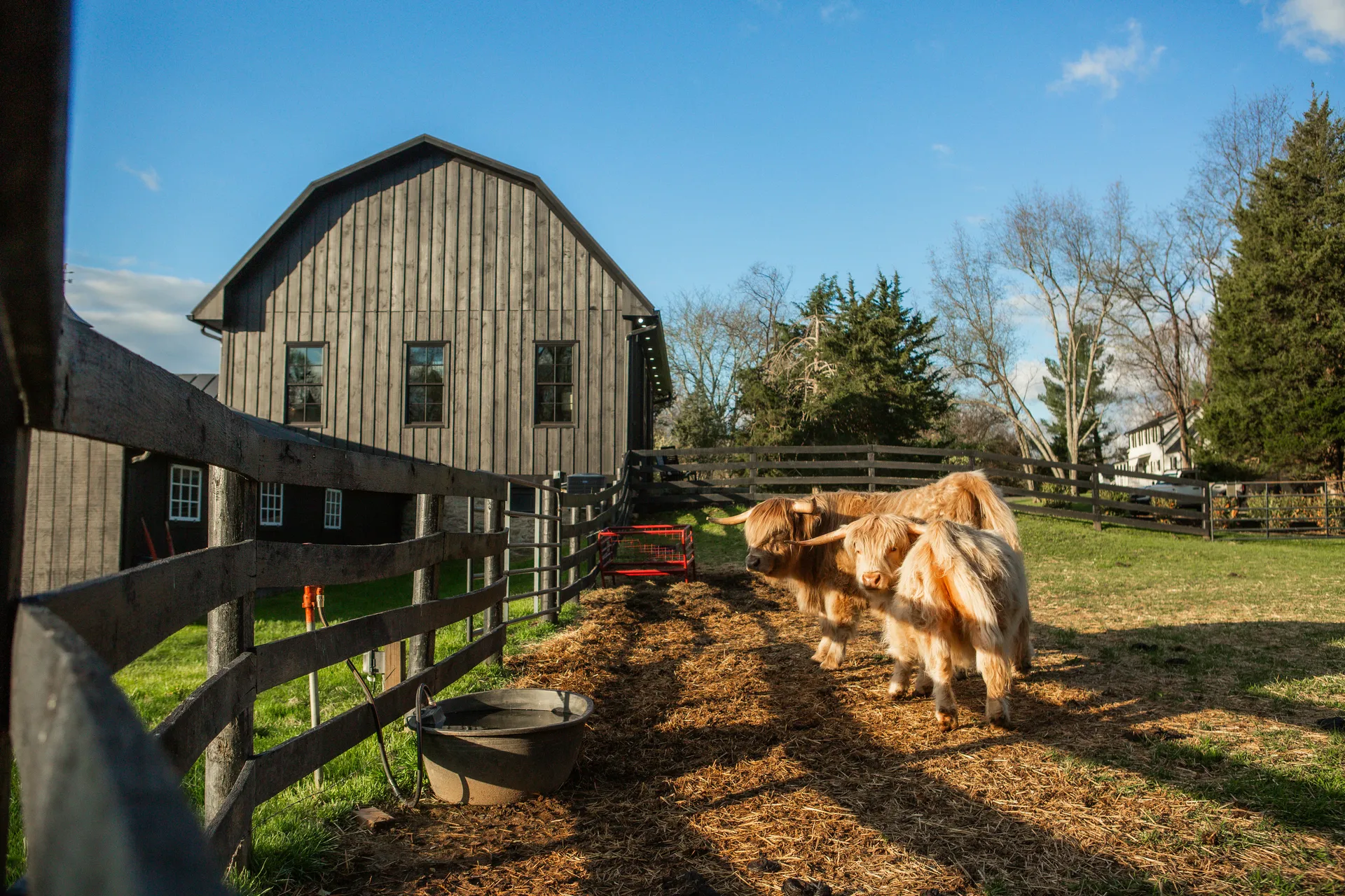 historic property renovation